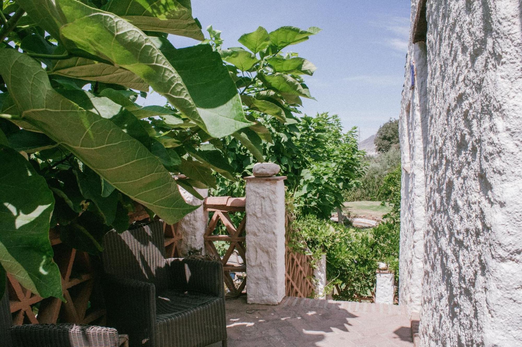Hotel Rural Alqueria De Los Lentos Nigüelas Rom bilde