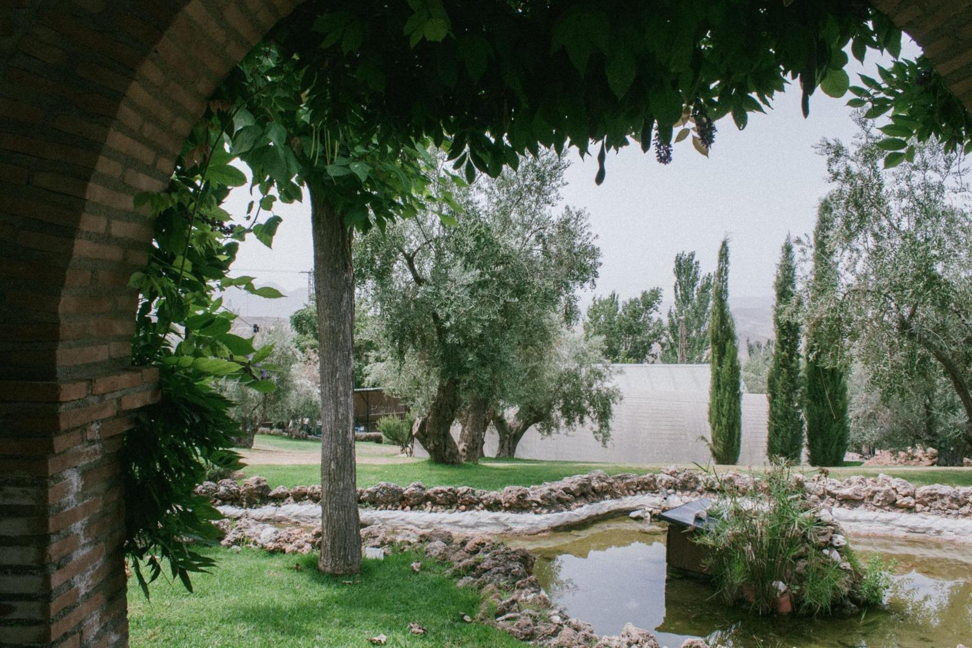Hotel Rural Alqueria De Los Lentos Nigüelas Rom bilde